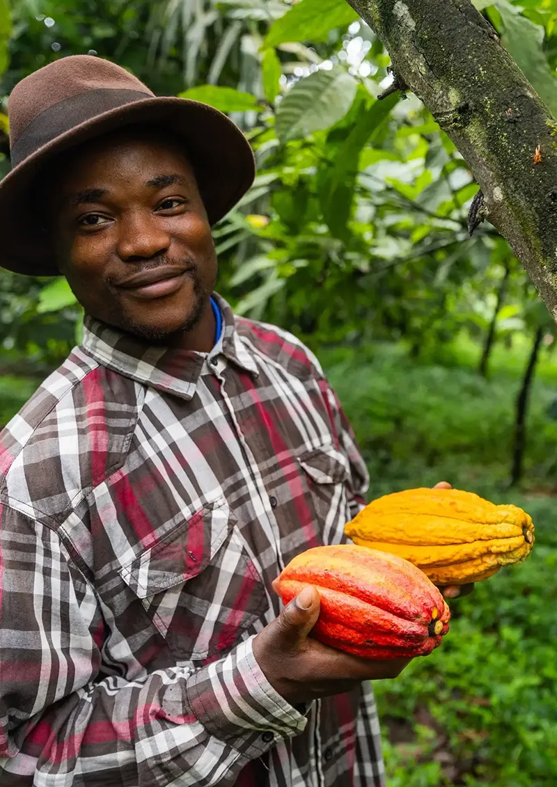 Portrait d'un producteur de cacao souriant, chapeau et chemise à carreaux, photographié près d'un tronc de cacaoyer dans une plantation tropicale verdoyante.