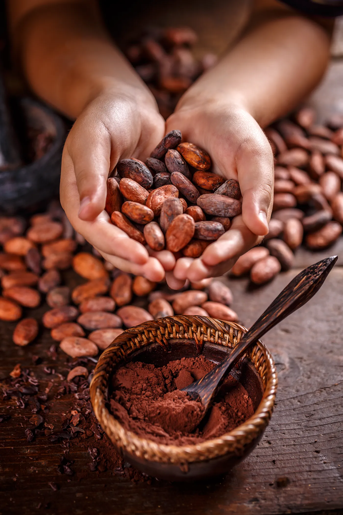Deux mains présentent des fèves de cacao brutes au-dessus d'une table où d'autres fèves sont éparpillées, avec un bol tressé de poudre de cacao et une cuillère en bois.